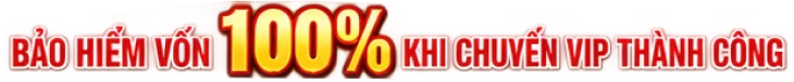 Bảo hiểm vốn 100% khi chuyển VIP thành công